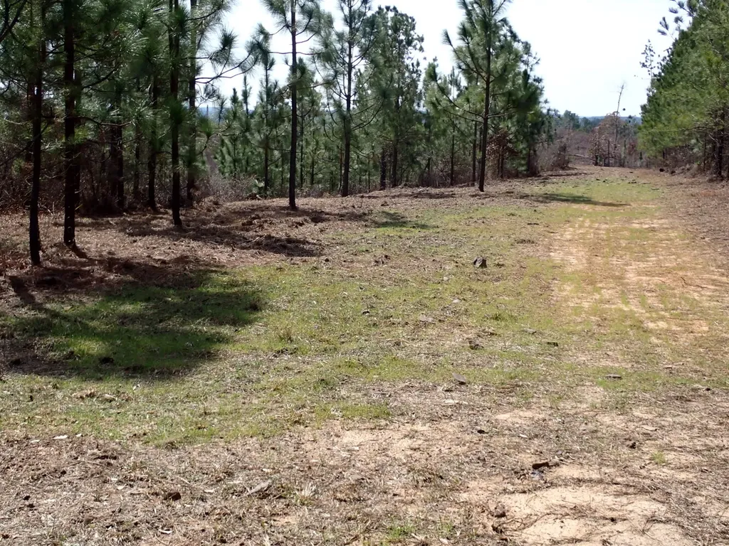 000 Gary Springs Loop Centreville AL 35042