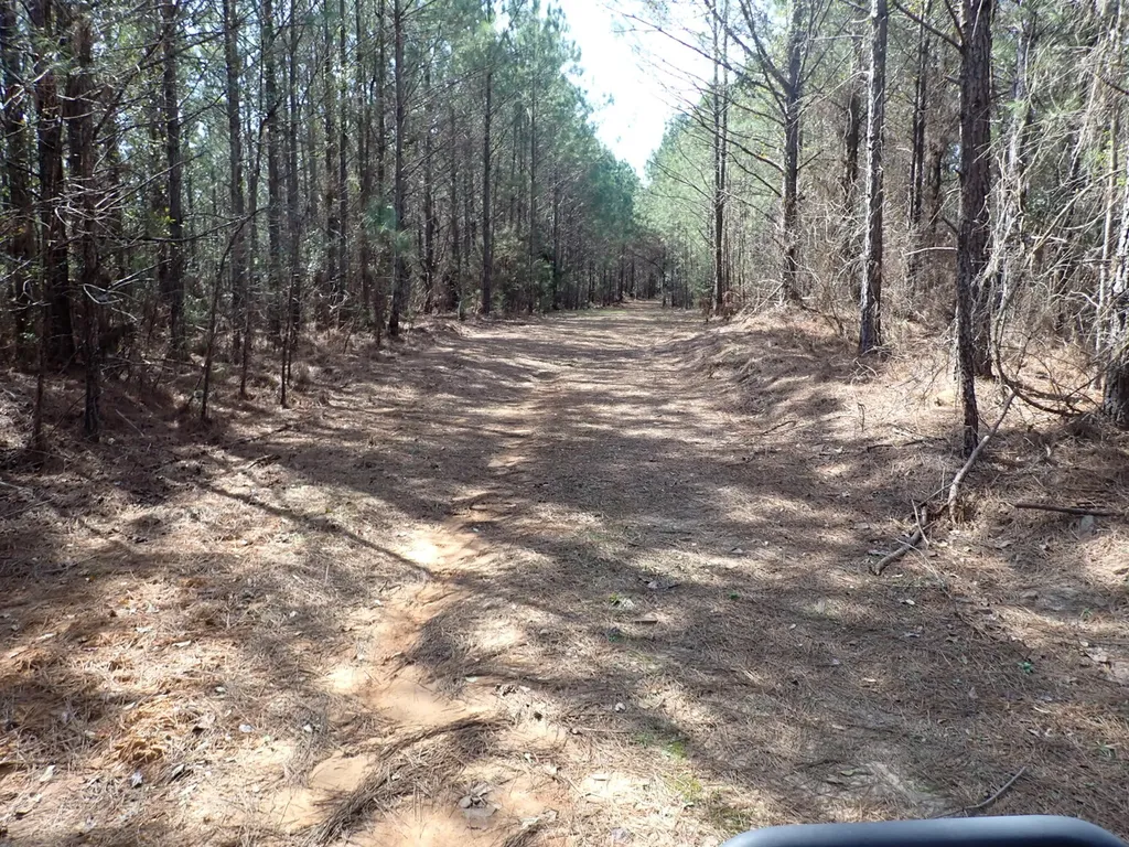 000 Gary Springs Loop Centreville AL 35042