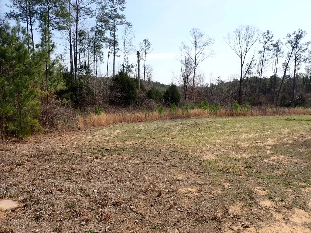 000 Gary Springs Loop Centreville AL 35042