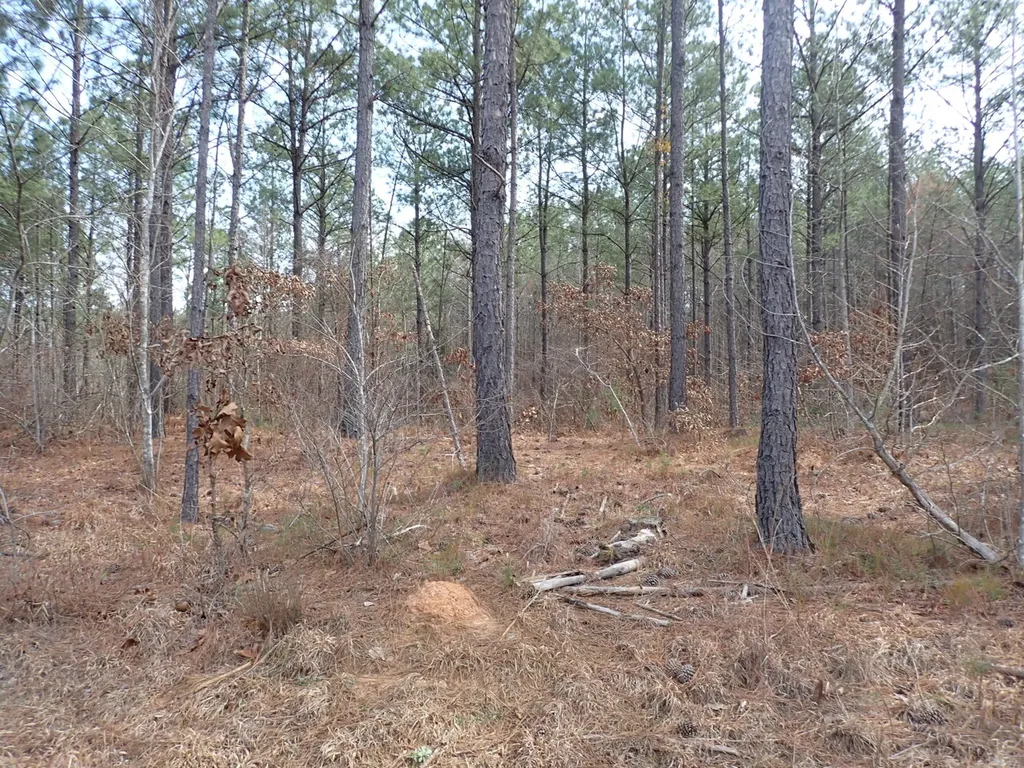 000 Gary Springs Loop Centreville AL 35042