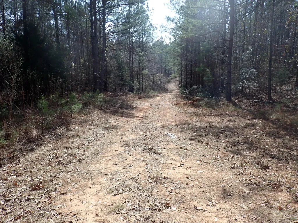 000 Gary Springs Loop Centreville AL 35042