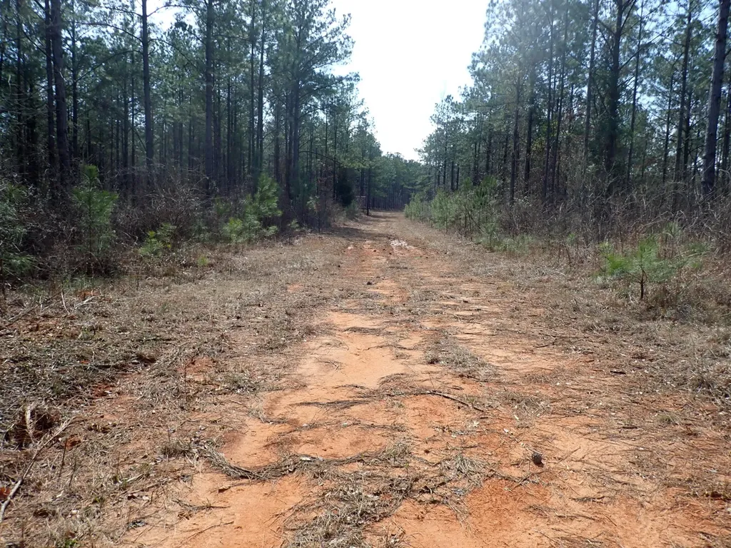 000 Gary Springs Loop Centreville AL 35042