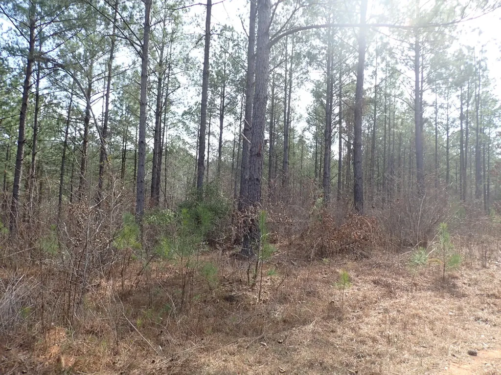 000 Gary Springs Loop Centreville AL 35042