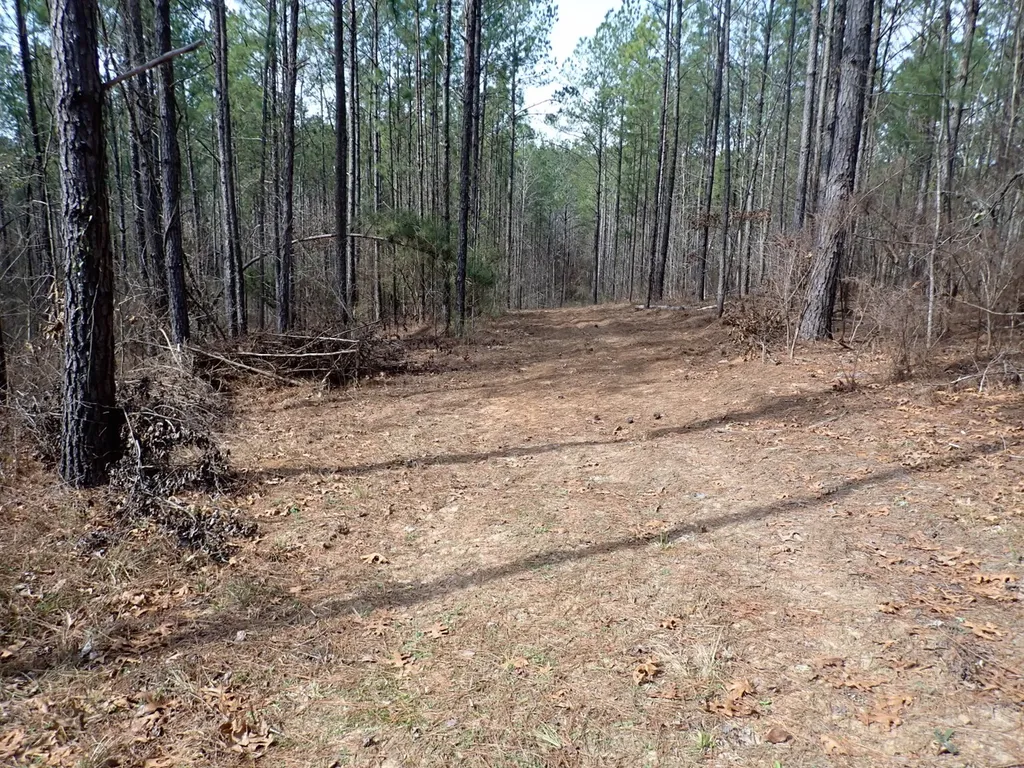 000 Gary Springs Loop Centreville AL 35042