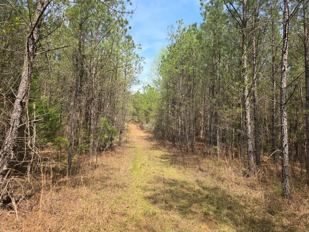 000 Gary Springs Loop Centreville AL 35042