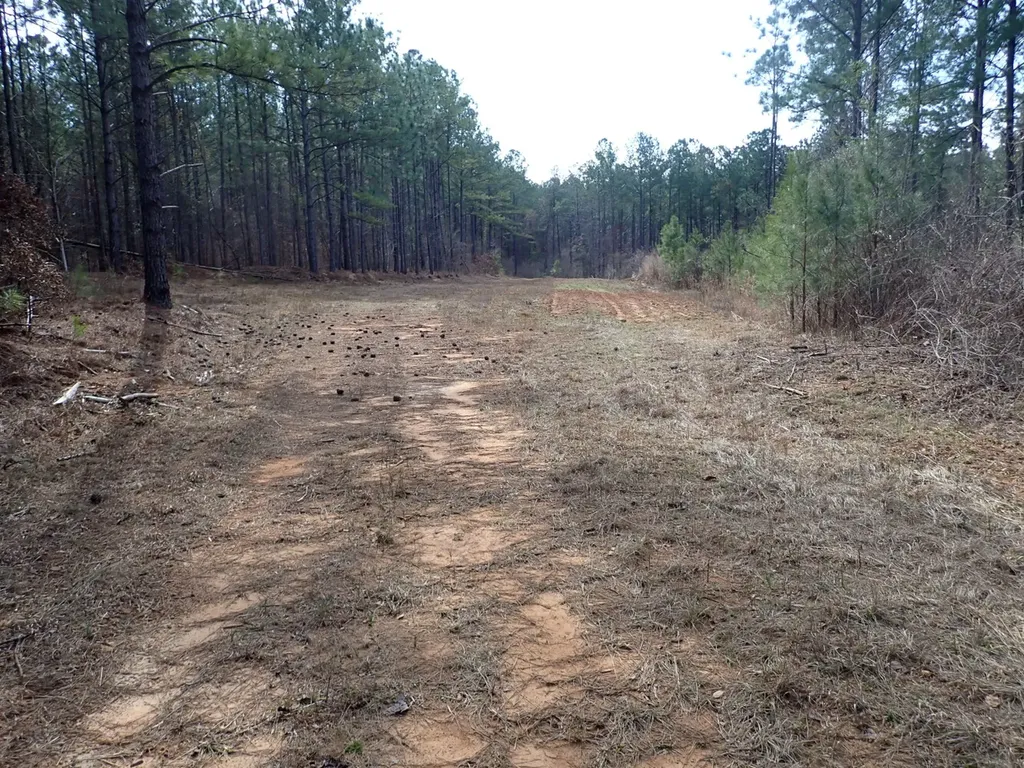 000 Gary Springs Loop Centreville AL 35042