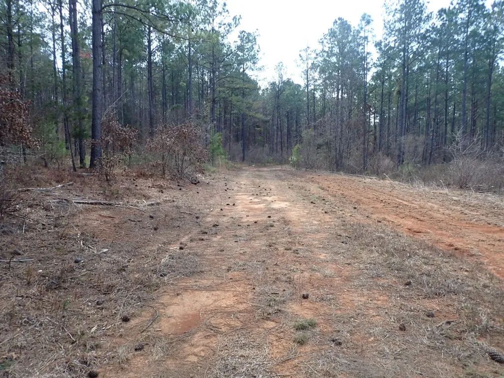 000 Gary Springs Loop Centreville AL 35042