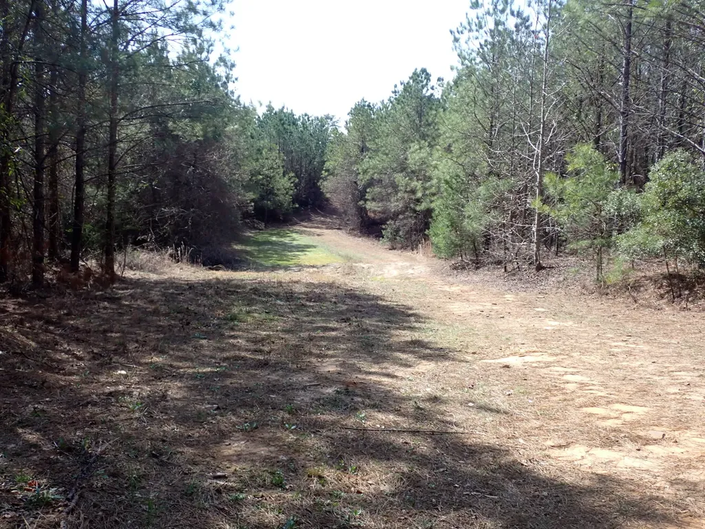 000 Gary Springs Loop Centreville AL 35042