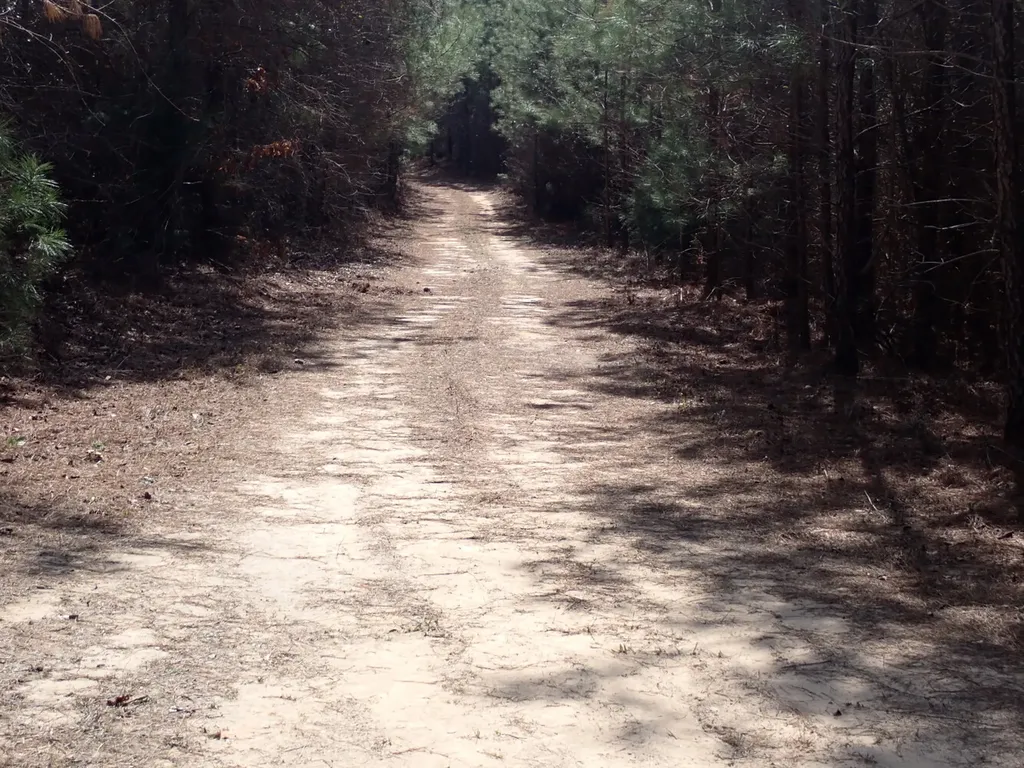 000 Gary Springs Loop Centreville AL 35042