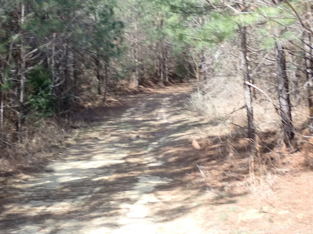 000 Gary Springs Loop Centreville AL 35042