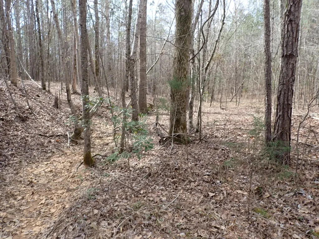 000 Gary Springs Loop Centreville AL 35042