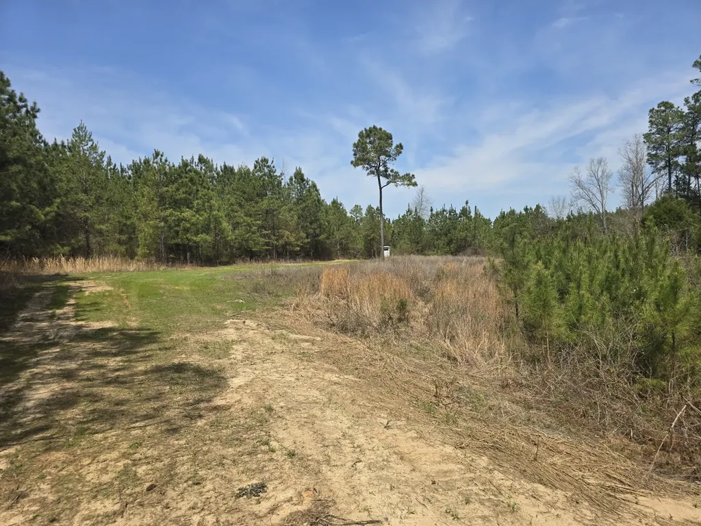 000 Gary Springs Loop Centreville AL 35042
