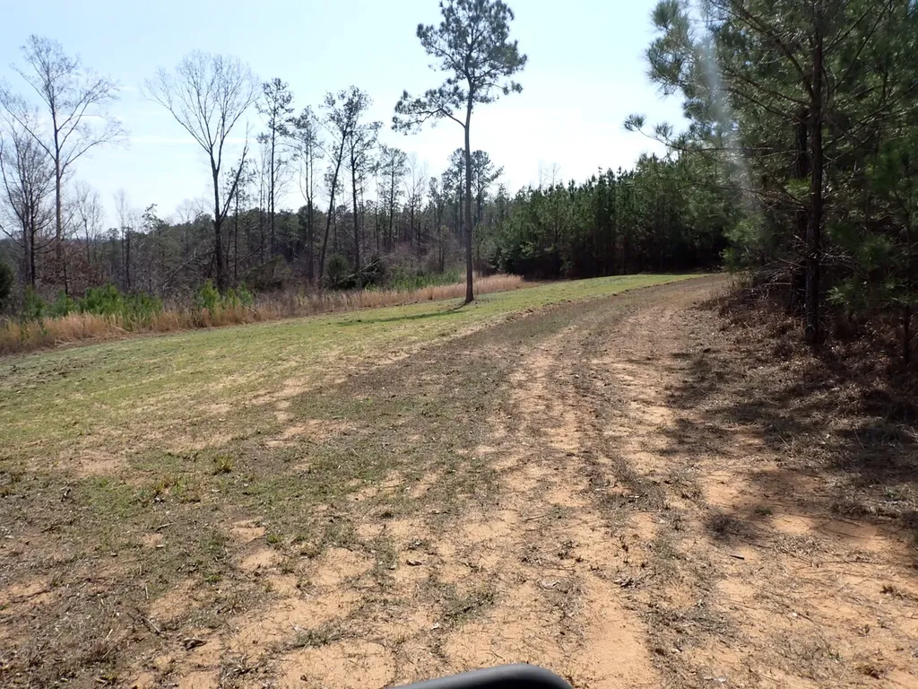 000 Gary Springs Loop Centreville AL 35042