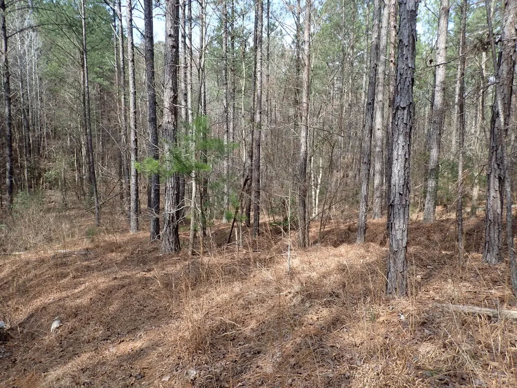 000 Gary Springs Loop Centreville AL 35042