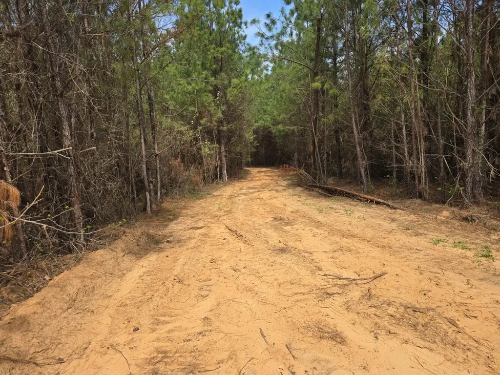 000 Gary Springs Loop Centreville AL 35042