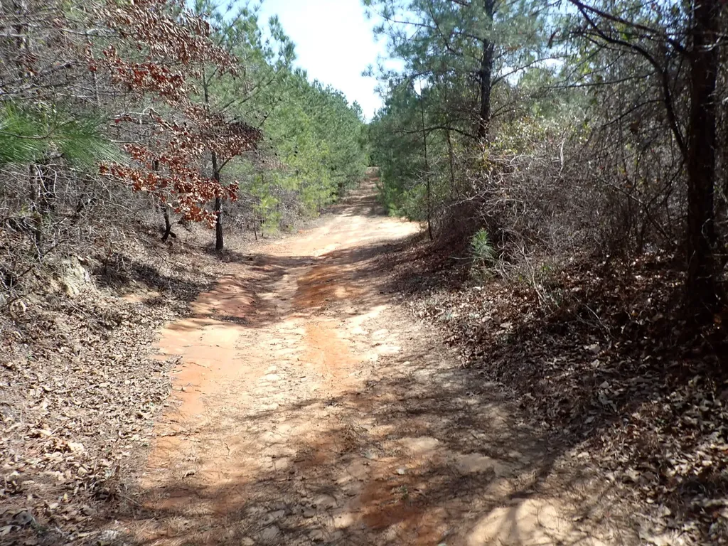 000 Gary Springs Loop Centreville AL 35042