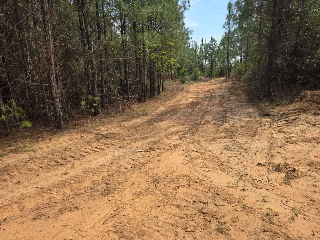 000 Gary Springs Loop Centreville AL 35042