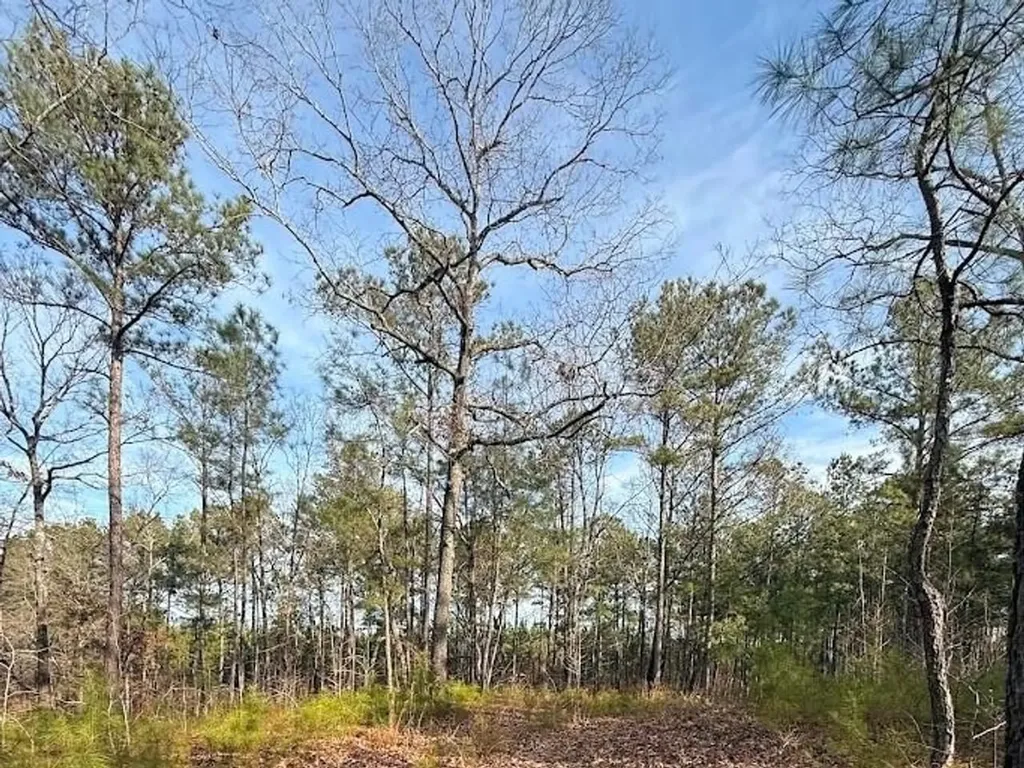 00 County Road 216 Lanett AL 36863