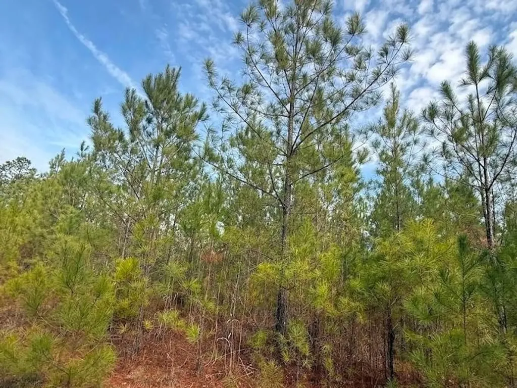 00 County Road 216 Lanett AL 36863
