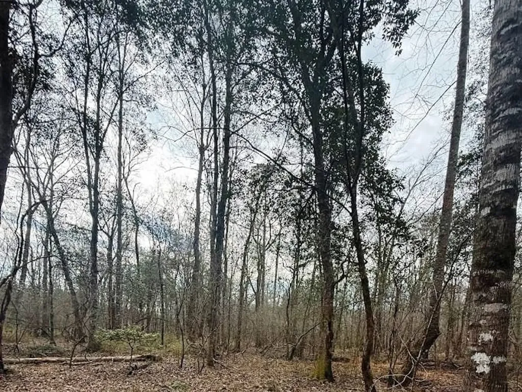 00 County Road 216 Lanett AL 36863