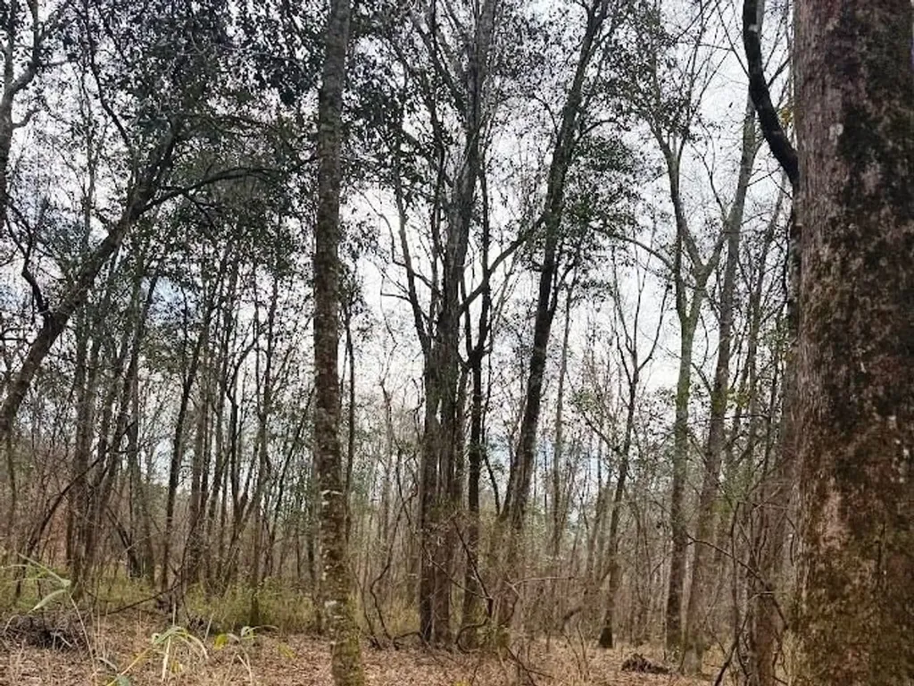 00 County Road 216 Lanett AL 36863