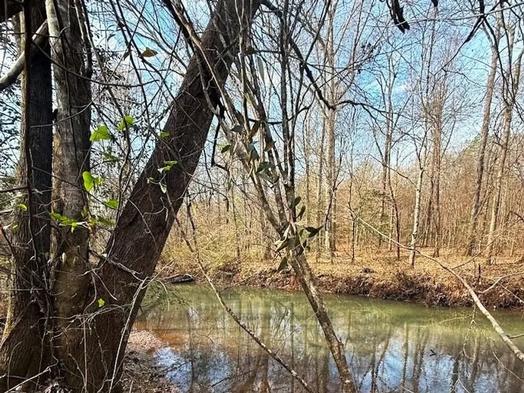 00 County Road 216 Lanett AL 36863