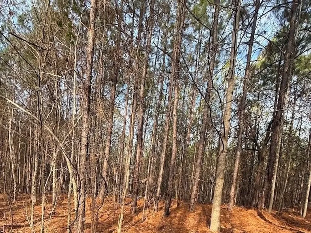 00 County Road 216 Lanett AL 36863