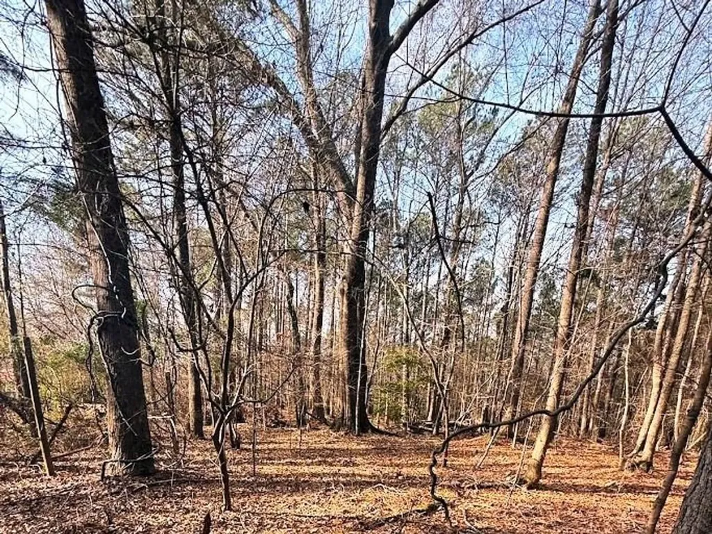 00 County Road 216 Lanett AL 36863