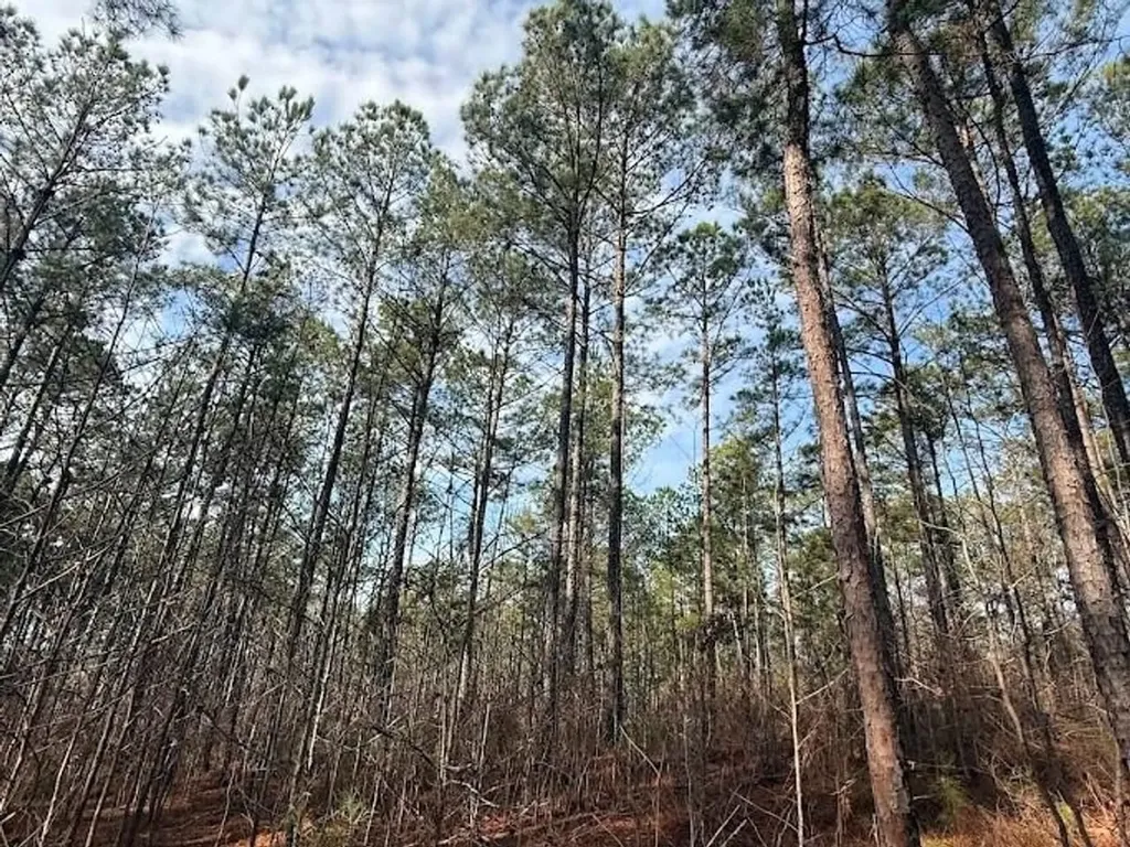 00 County Road 216 Lanett AL 36863