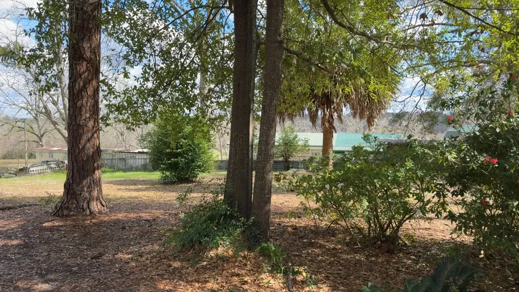 1512 N 4th Street Florala AL 36442