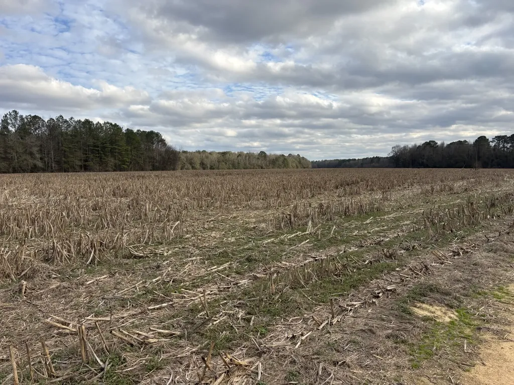 0 Highway 80 Tyler AL 36785