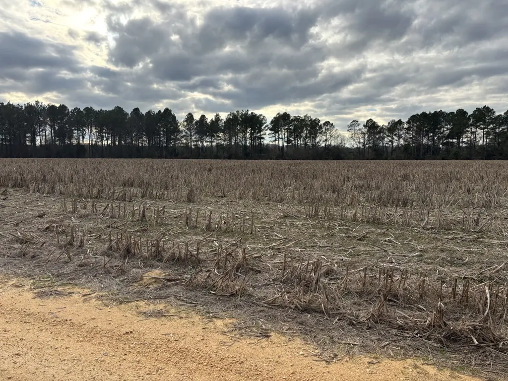 0 Highway 80 Tyler AL 36785