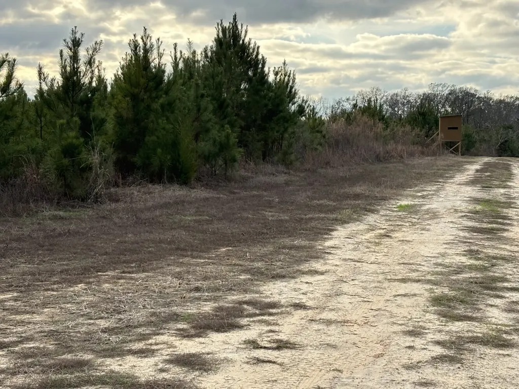 0 Highway 80 Tyler AL 36785