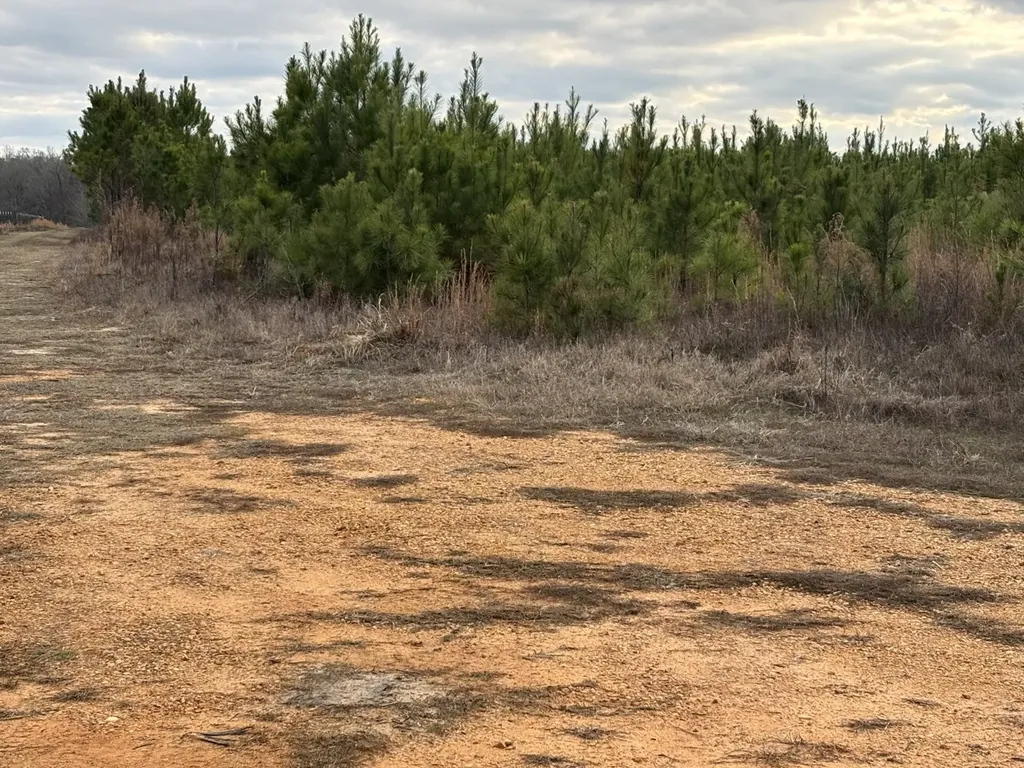 0 Highway 80 Tyler AL 36785