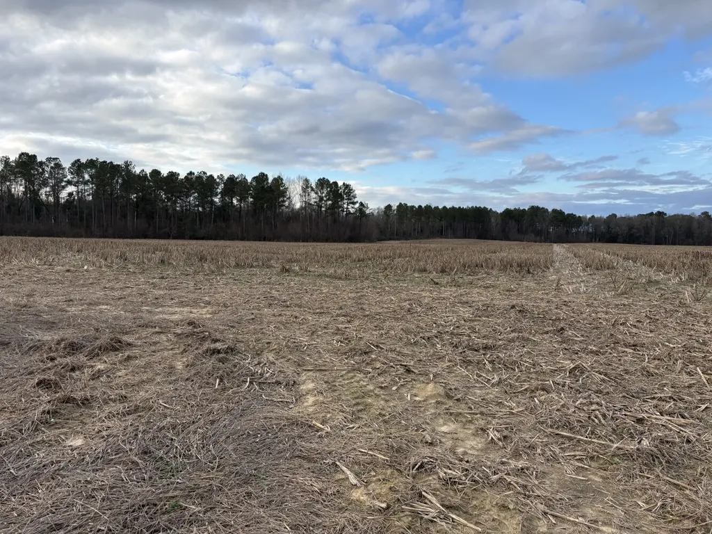 0 Highway 80 Tyler AL 36785