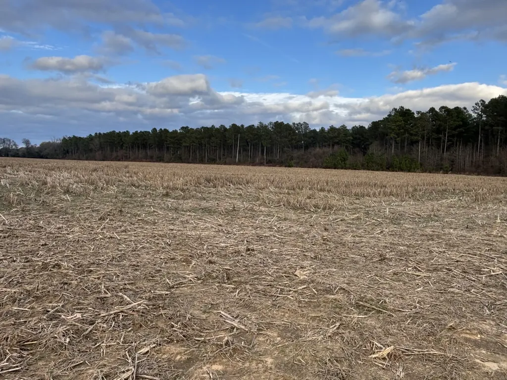 0 Highway 80 Tyler AL 36785