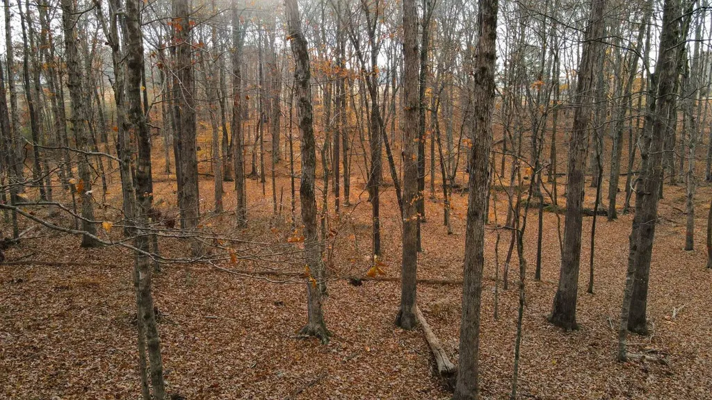 1 Cr 496 Lexington AL 35648