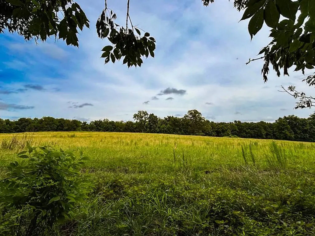 1 Cr 496 Lexington AL 35648