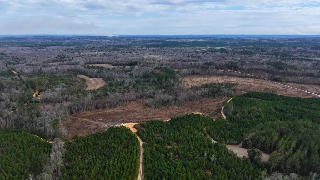 0 Mulberry Road Brantley AL 36009