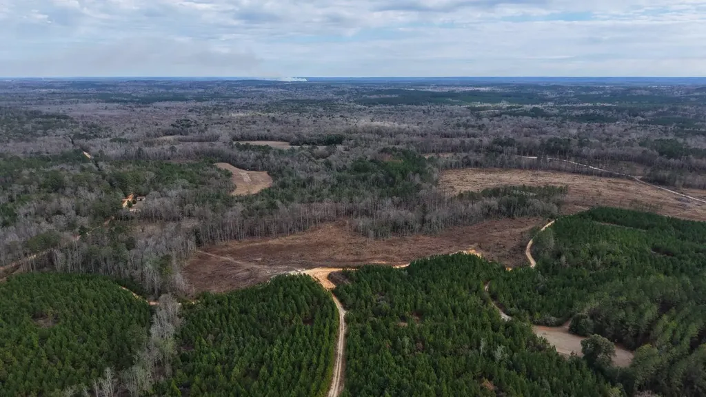 0 Mulberry Road Brantley AL 36009