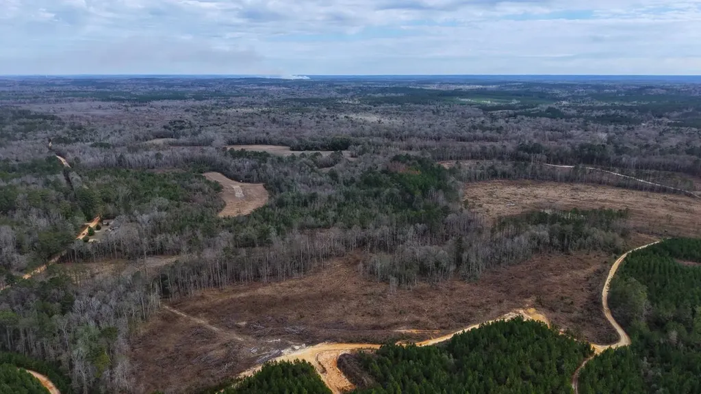 0 Mulberry Road Brantley AL 36009