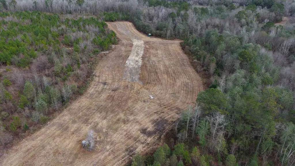 0 Mulberry Road Brantley AL 36009