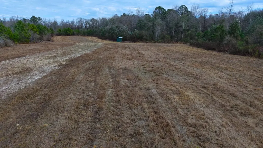 0 Mulberry Road Brantley AL 36009