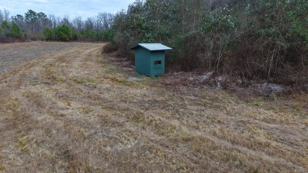 0 Mulberry Road Brantley AL 36009