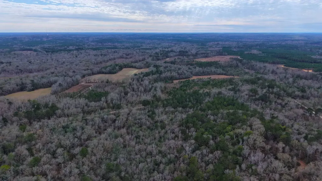 0 Mulberry Road Brantley AL 36009