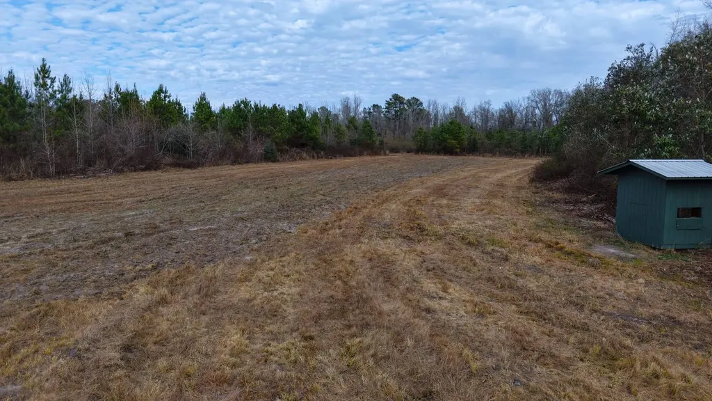 0 Mulberry Road Brantley AL 36009