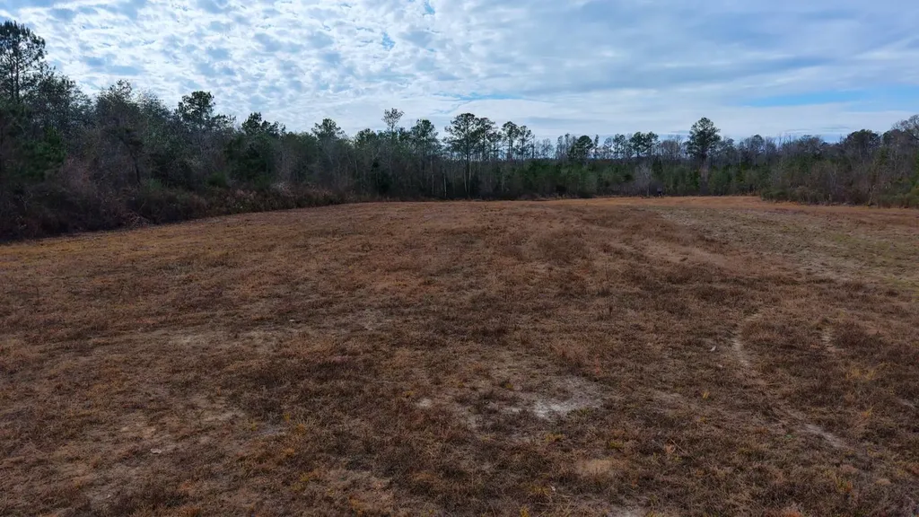 0 Mulberry Road Brantley AL 36009