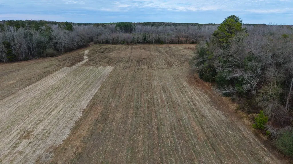 0 Mulberry Road Brantley AL 36009