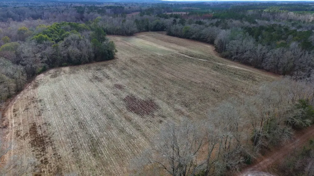 0 Mulberry Road Brantley AL 36009