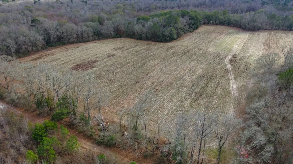 0 Mulberry Road Brantley AL 36009